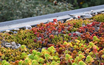 the cost of Low Ham green roof installation