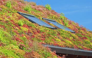 Low Ham living roof systems